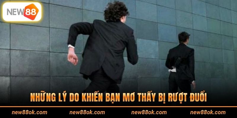 Những lý do khiến bạn mơ thấy bị rượt đuổi